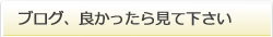 ブログ、良かったら見て下さい